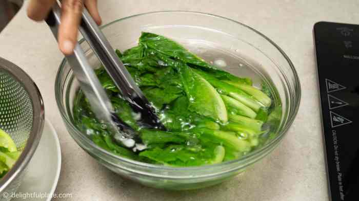 How to cook romaine lettuce chinese-style